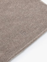 Beanie Cashmere Vercors Etrier Brown vercors EVER426U-vue-porte