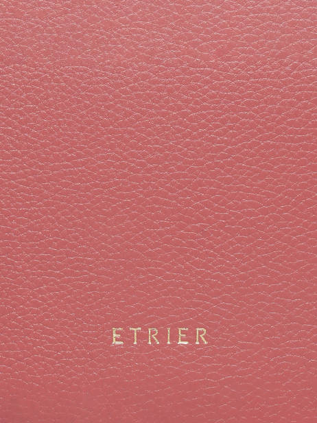Porte-cartes Tradition Cuir Etrier Rose tradition ETRA094M vue secondaire 3